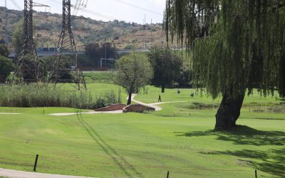 Slashing Fuel Costs: Smart Strategies for Efficient Turf Equipment
