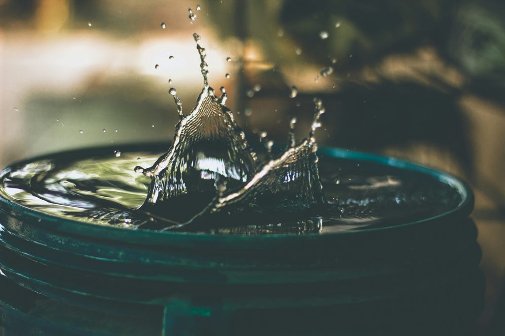 How to Minimise Water Usage Without Sacrificing Lawn Health 1 amritanshu sikdar LoGnr w1D8E unsplash